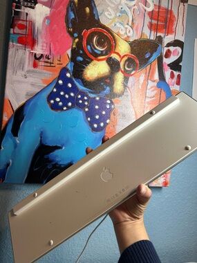 Apple Mac Model A1243 Aluminum / White Wired USB Keyboard 2007